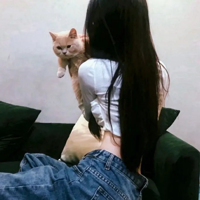 牛仔大战恐龙